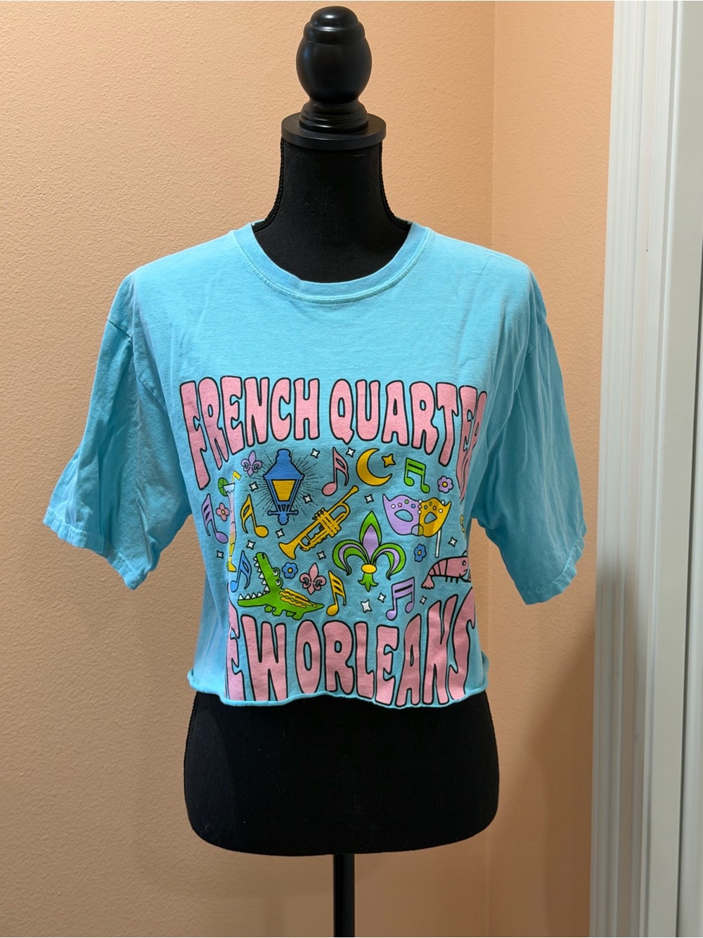 French Quarter New Orleans Graphic Crop Tee - Light Blue and Pink M